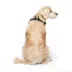 Canada Pooch Easy On Dog Harness - Black image thumbnail 3