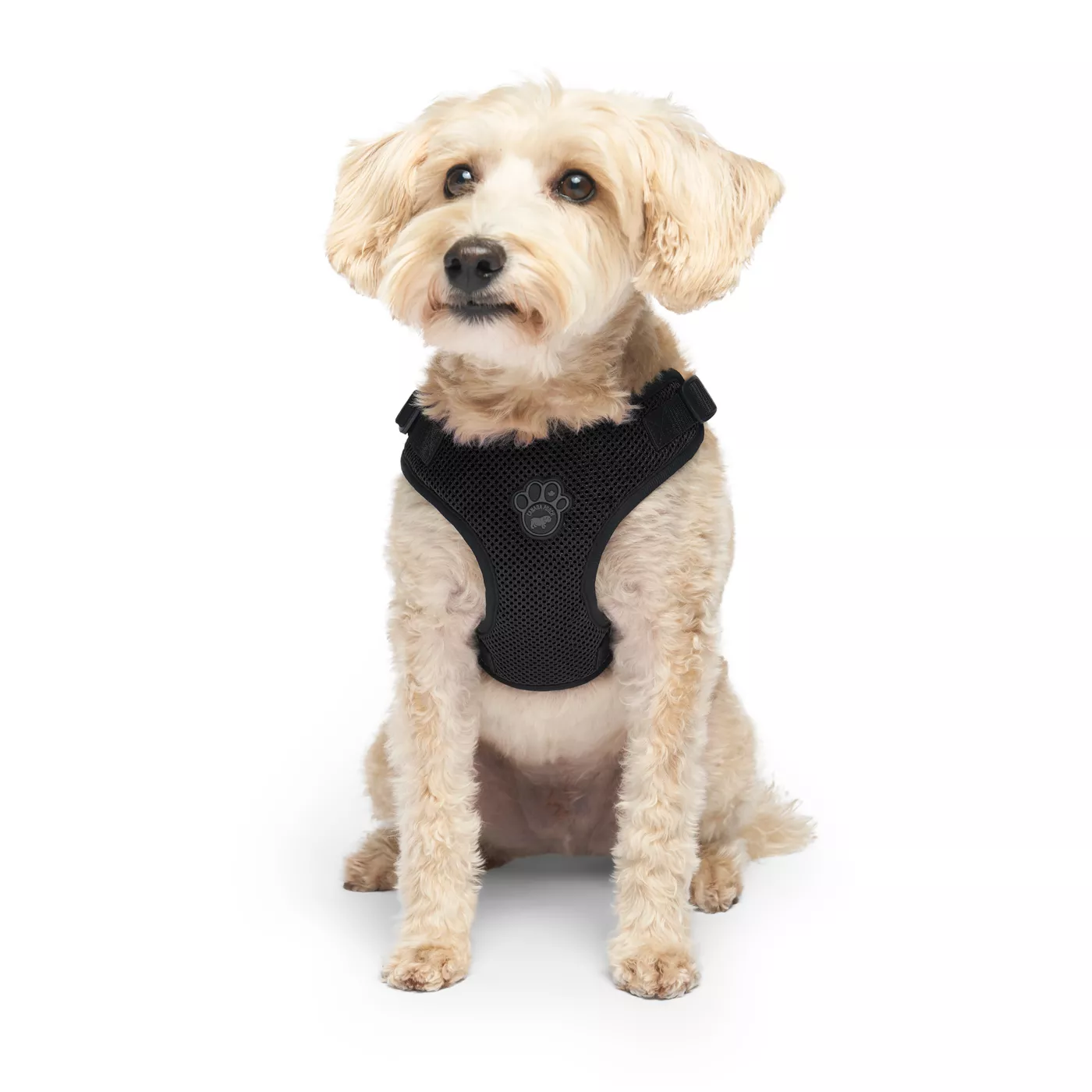 Dog rear lift harness petsmart best sale