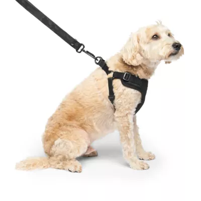 Product Canada Pooch Easy On Dog Harness - Black