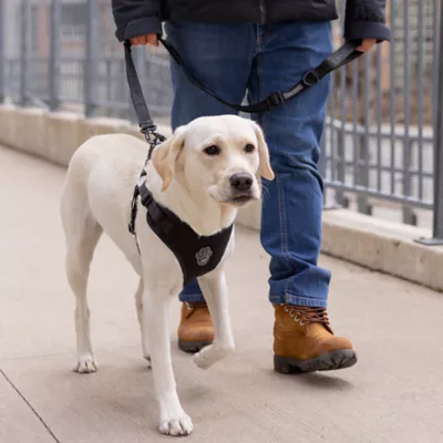 Product Canada Pooch Easy On Dog Harness - Black