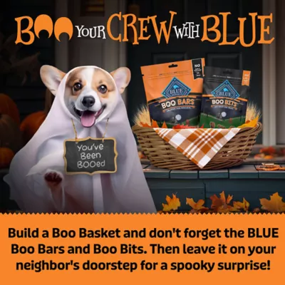 Product Blue Buffalo Boo Bars Pumpkin Cinnamon 11 OZ