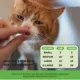 Product Pet Honesty Probiotics Gut + Immune Health Chews Supplement for Cats 3.7 oz