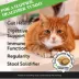 Pet Honesty Probiotics Gut + Immune Health Chews Supplement for Cats 3.7 oz image thumbnail 7