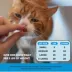  Pet Honesty Skin & Coat Health Chews Supplement for Cats 3.7 oz image thumbnail 3