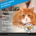  Pet Honesty Skin & Coat Health Chews Supplement for Cats 3.7 oz image thumbnail 7
