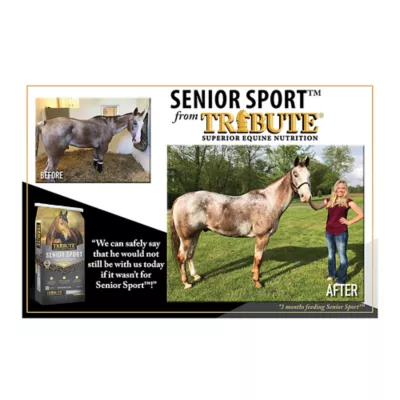 Tribute Senior Sport Horse Feed - Image 8