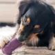 Product Freezbone Purple Refillable Dog Toy
