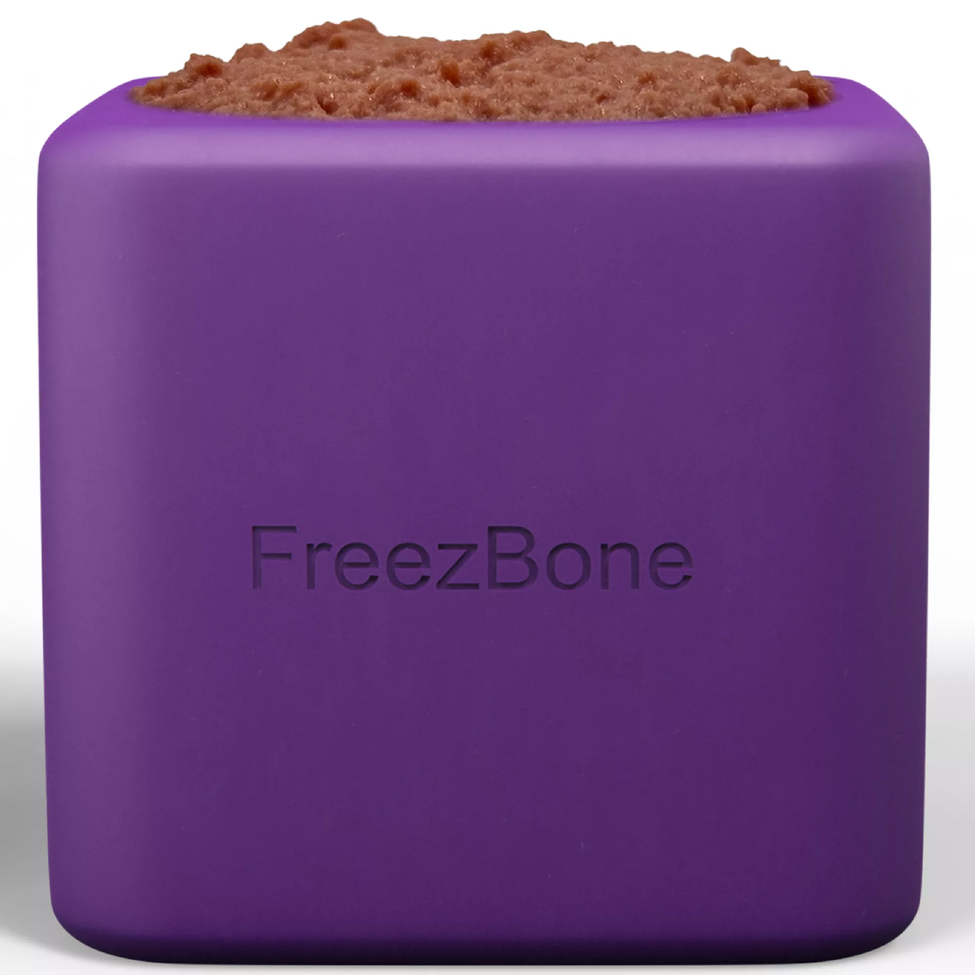 Freezbone Freezbox Purple Dog Toy