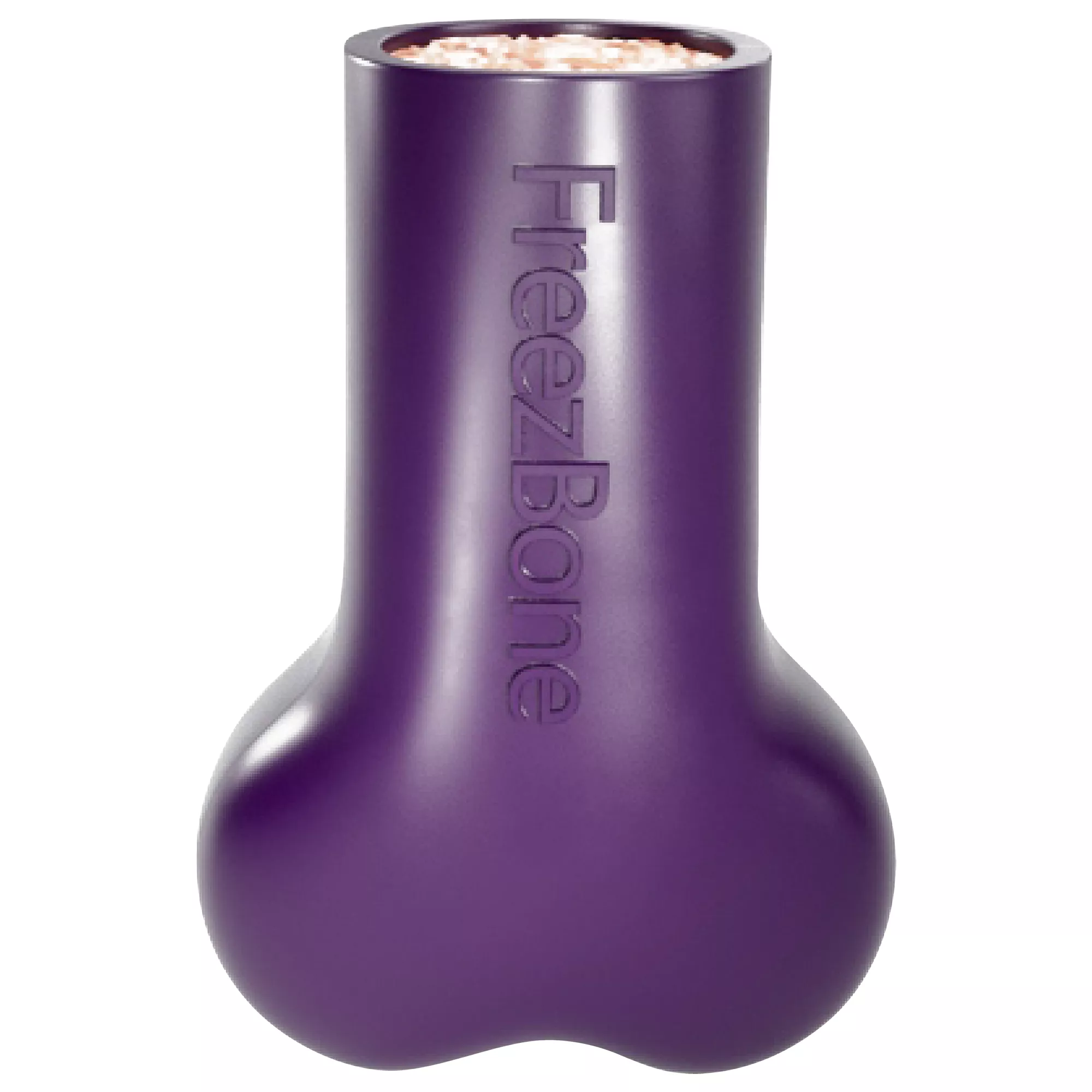 Freezbone Purple Refillable Dog Toy