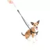 2 Hounds Freedom No-Pull Dog Harness image thumbnail 1