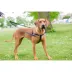 2 Hounds Freedom No-Pull Dog Harness image thumbnail 4