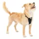 Product Kurgo Tru-Fit Smart Harness for Dogs