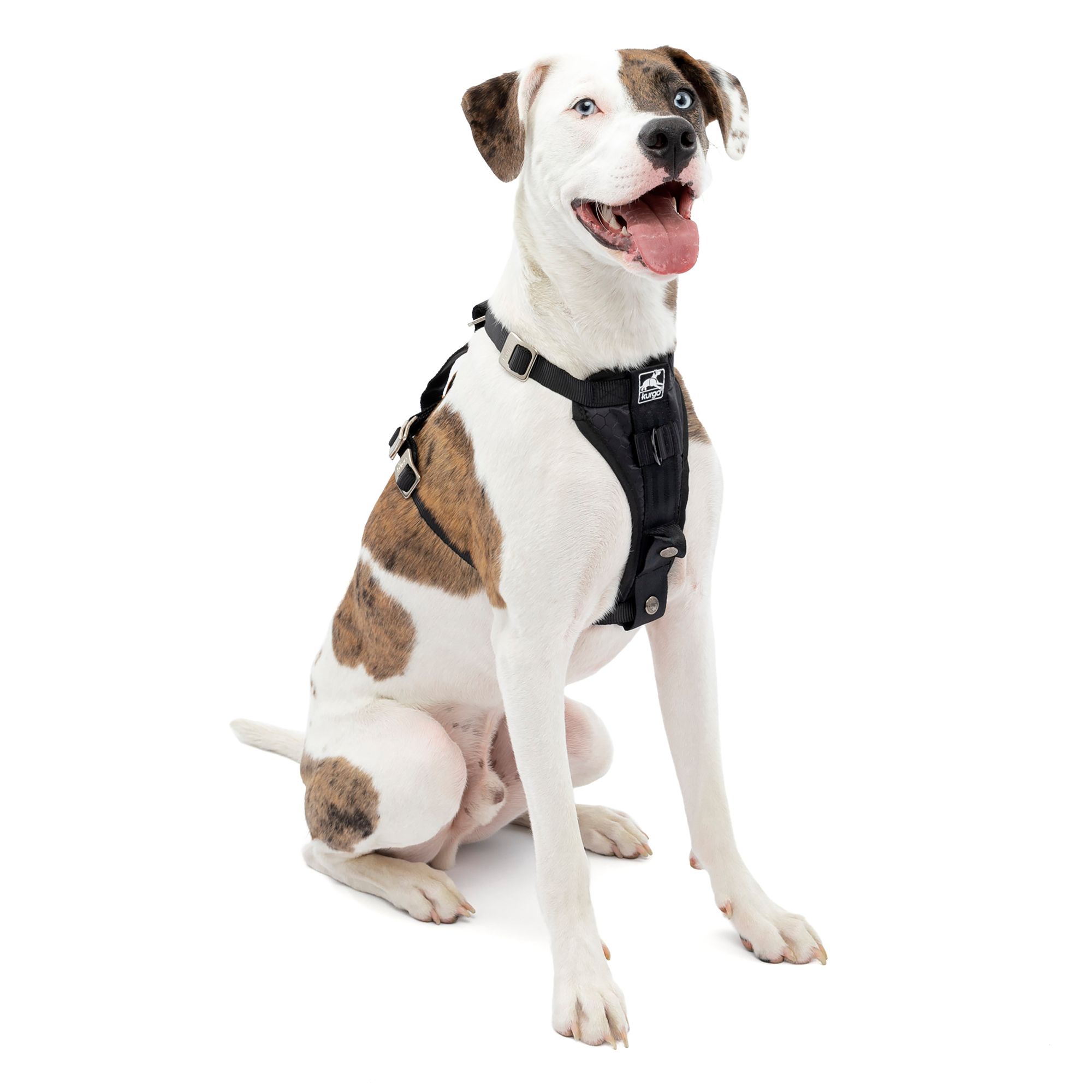 Kurgo Enhanced Strength Tru Fit Smart Dog Harness