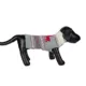 Product Hotel Doggy Dog Sweater - Vanilla Ice