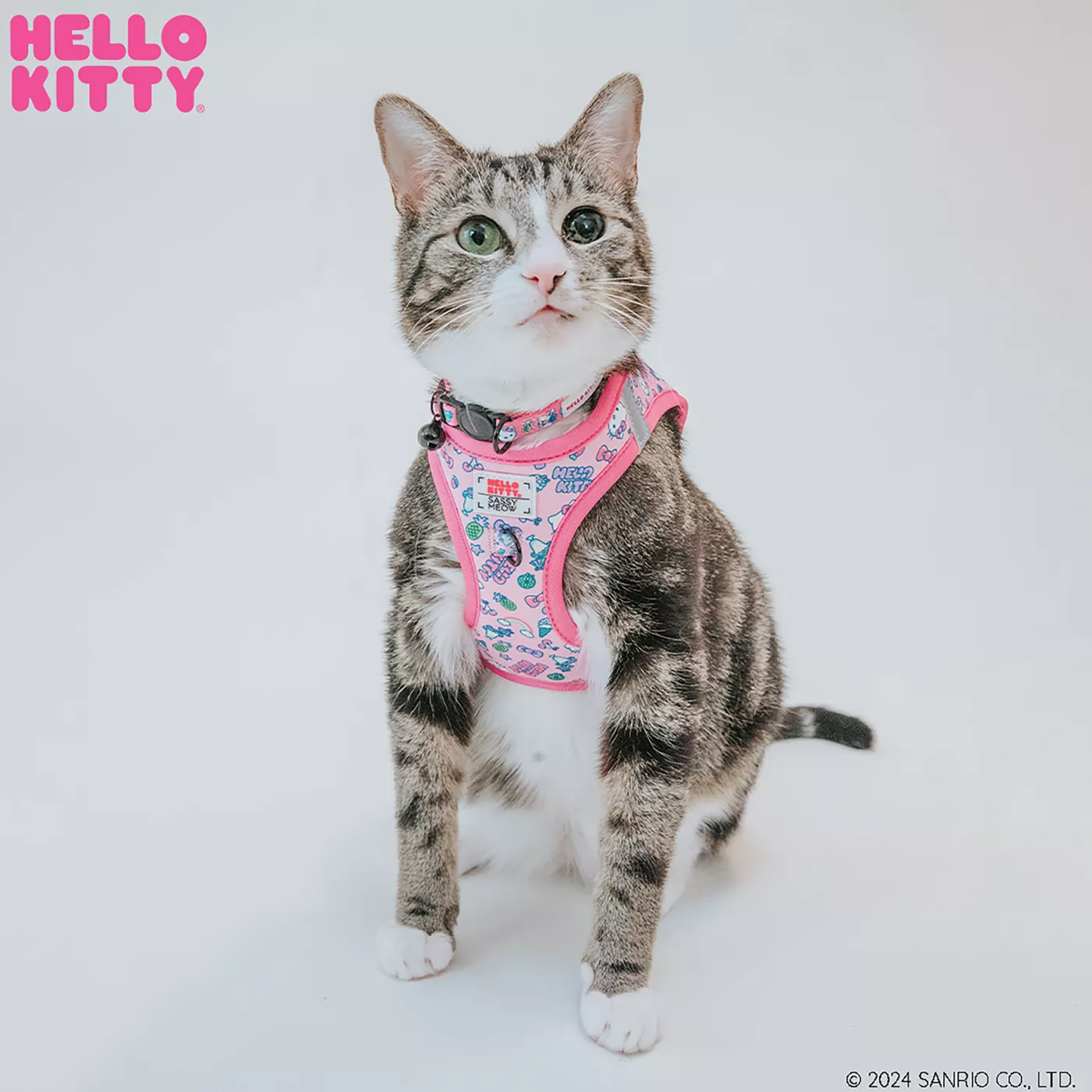 Cute cat harness best sale