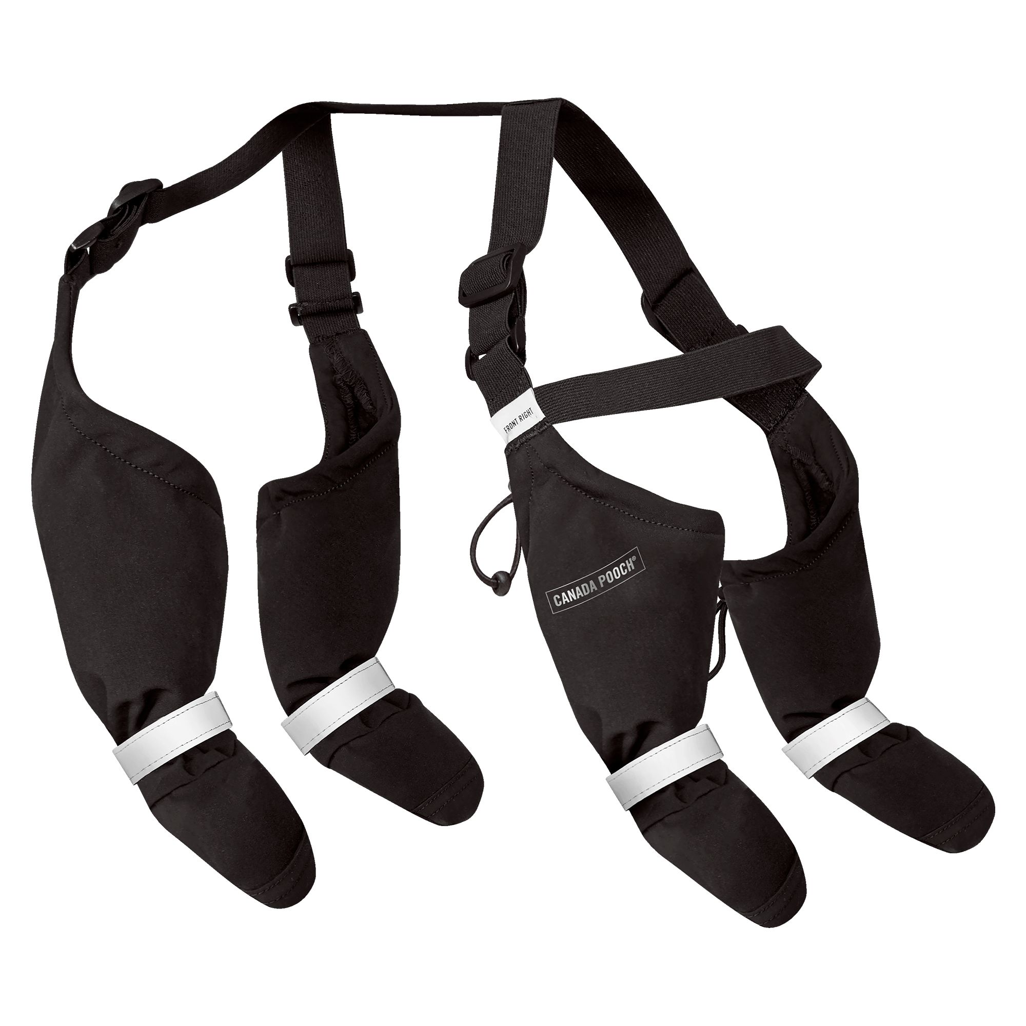 Dog sock suspenders hotsell