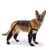 Canada Pooch Suspender Dog Boots - Long image thumbnail 5