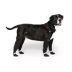 Canada Pooch Suspender Dog Boots - Long image thumbnail 6
