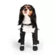 Product Canada Pooch Suspender Dog Boots - Black