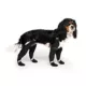 Product Canada Pooch Suspender Dog Boots - Black