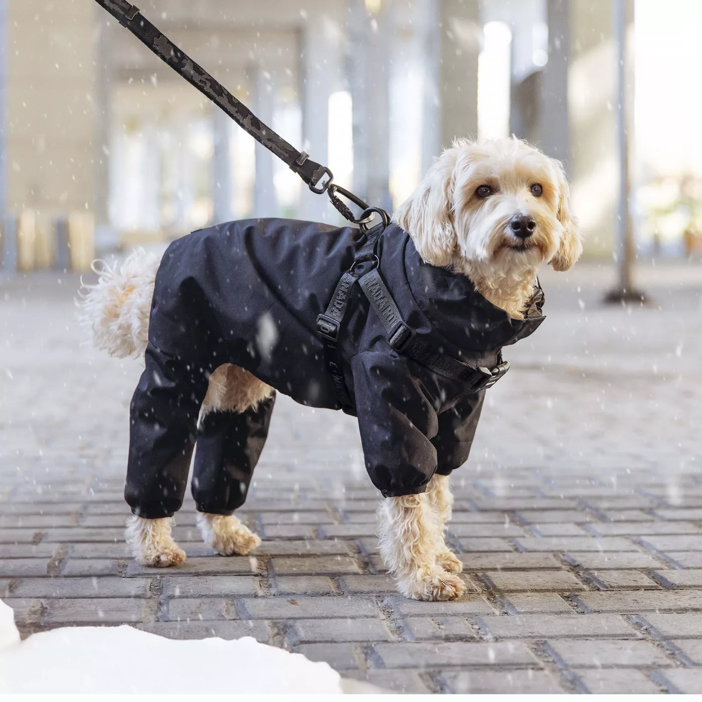 Canada Pooch Harness Dog Snowsuit Black