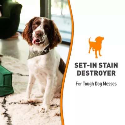 Product  Nature's Miracle Set-In Stain Destroyer for Dogs - 1 Gallon
