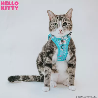 Cat harness petsmart best sale