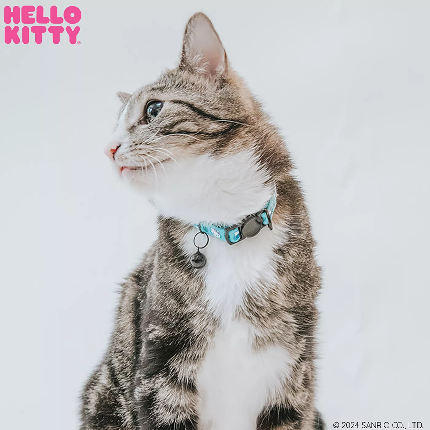 Sassy Meow Hello Kitty Cat Collar