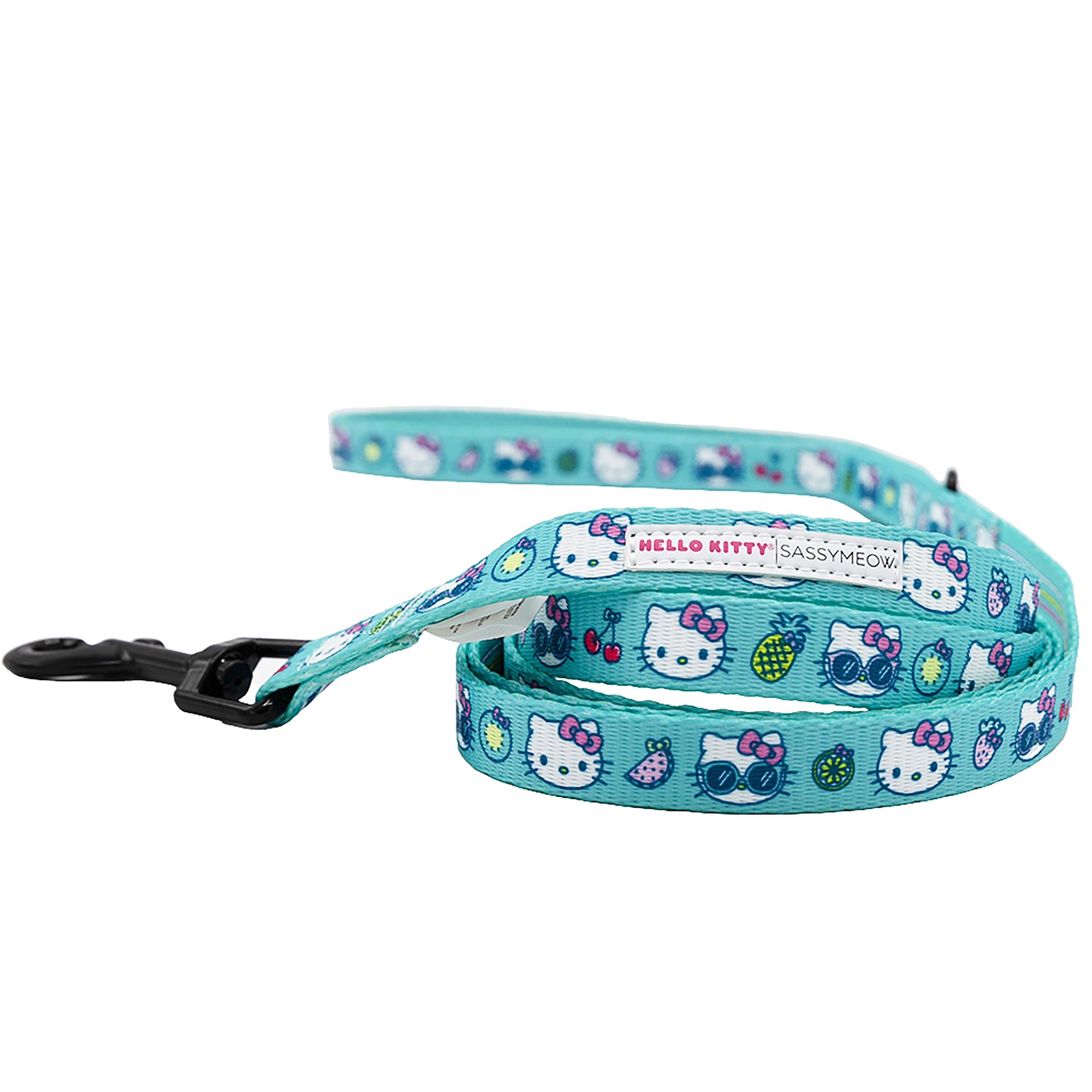 Cat harness petsmart best sale