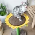 PetPals Cat Sunflower Bed Scratcher image thumbnail 2