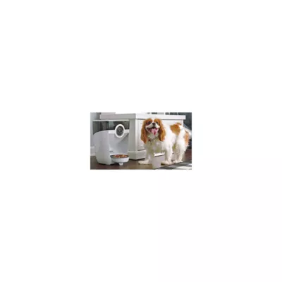 Product Whisker Automatic Feeder-Robot Smoke Hopper Dog & Cat Feeder