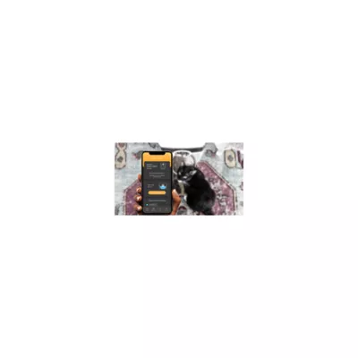 Product Whisker Automatic Feeder-Robot Smoke Hopper Dog & Cat Feeder