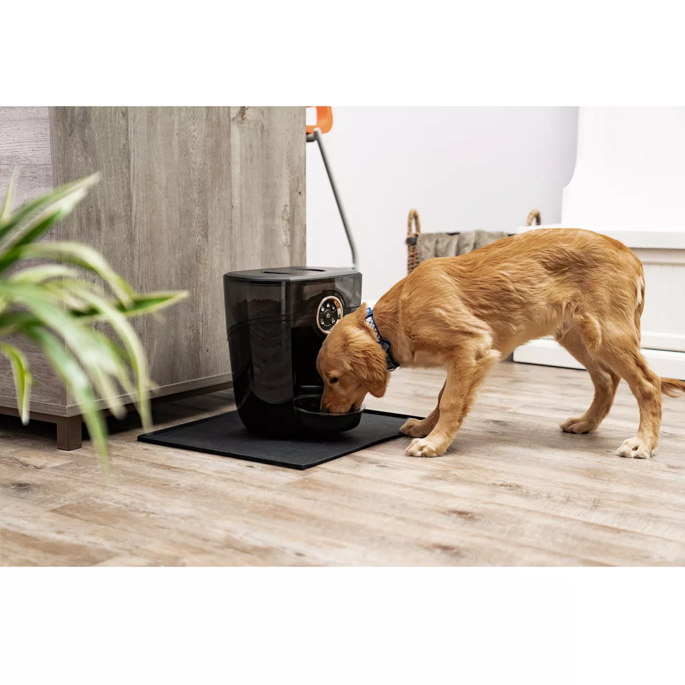 Whisker Automatic Feeder Robot Smoke Hopper Dog Cat Feeder