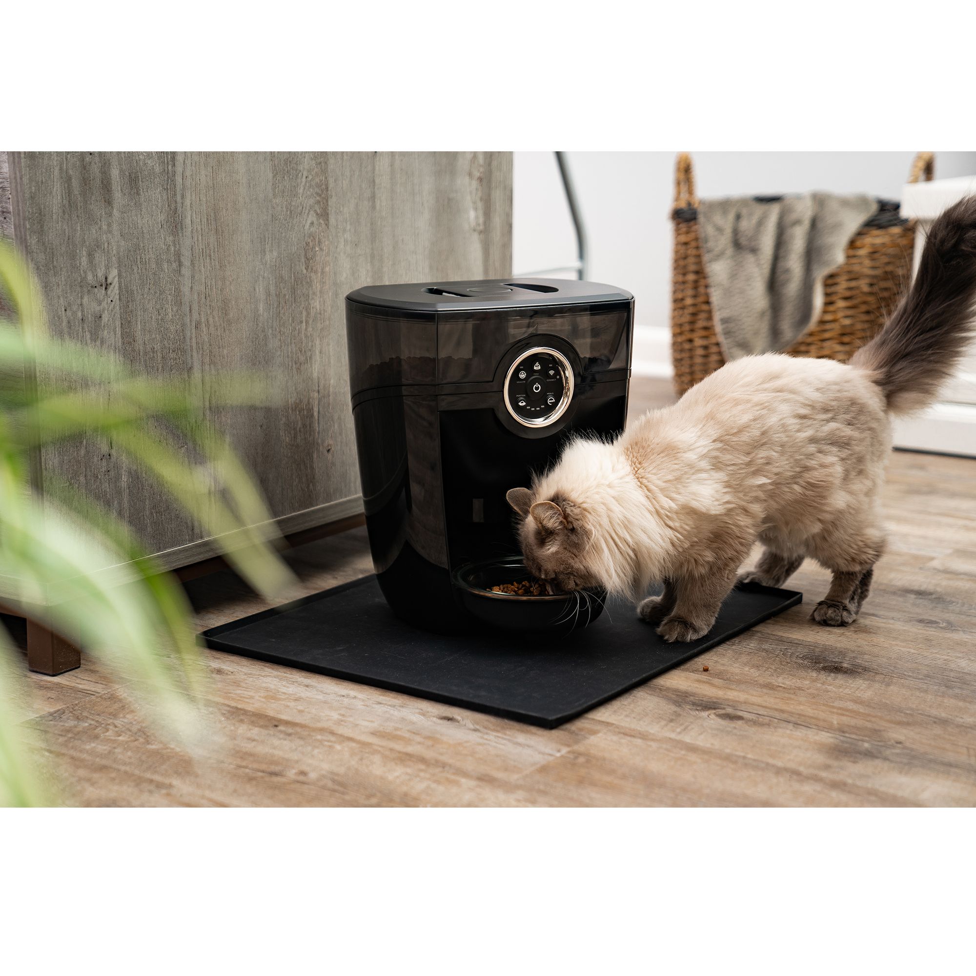 Automatic pet feeder petsmart best sale