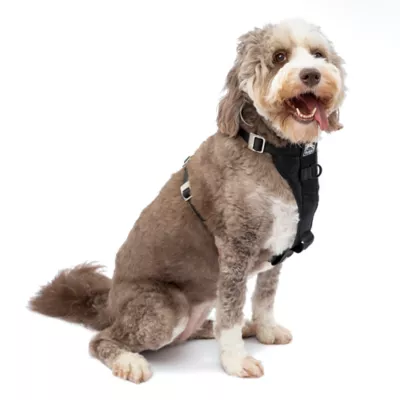 Product Kurgo® Tru-Fit Smart Harness for Dogs - Large