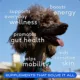 Product Native Pet The Daily Supplement for Dogs - Multivitamin Powder Supplement