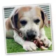 Product Tuffer Chewer Mini Refillable Kebab Toy