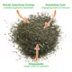 Product Meowijuana Whisker Tickler