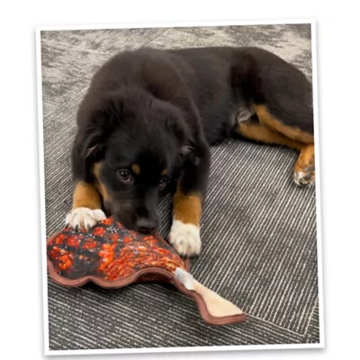 Product Doggijuana® Tomahawk Steak Tuffer Chewer® Juananip™ Dog Toy