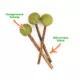 Product Meowijuana® Catnip and Silvervine Lollies