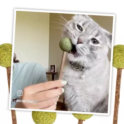 Product Meowijuana® Catnip and Silvervine Lollies