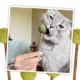 Product Meowijuana® Catnip and Silvervine Lollies