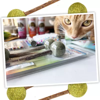 Product Meowijuana® Catnip and Silvervine Lollies