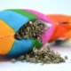 Product Meowijuana Get Smashed Llama Party Pinata Toy