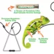 Product Meowijuana® Jump 'N' Jamb Swinging Chameleon Refillable Catnip Teaser Toy
