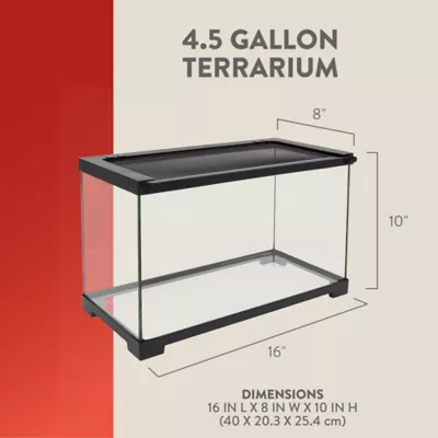 Product Thrive® Open Glass Terrarium - 4.5 Gallon