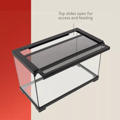 Product Thrive® Open Glass Terrarium - 4.5 Gallon