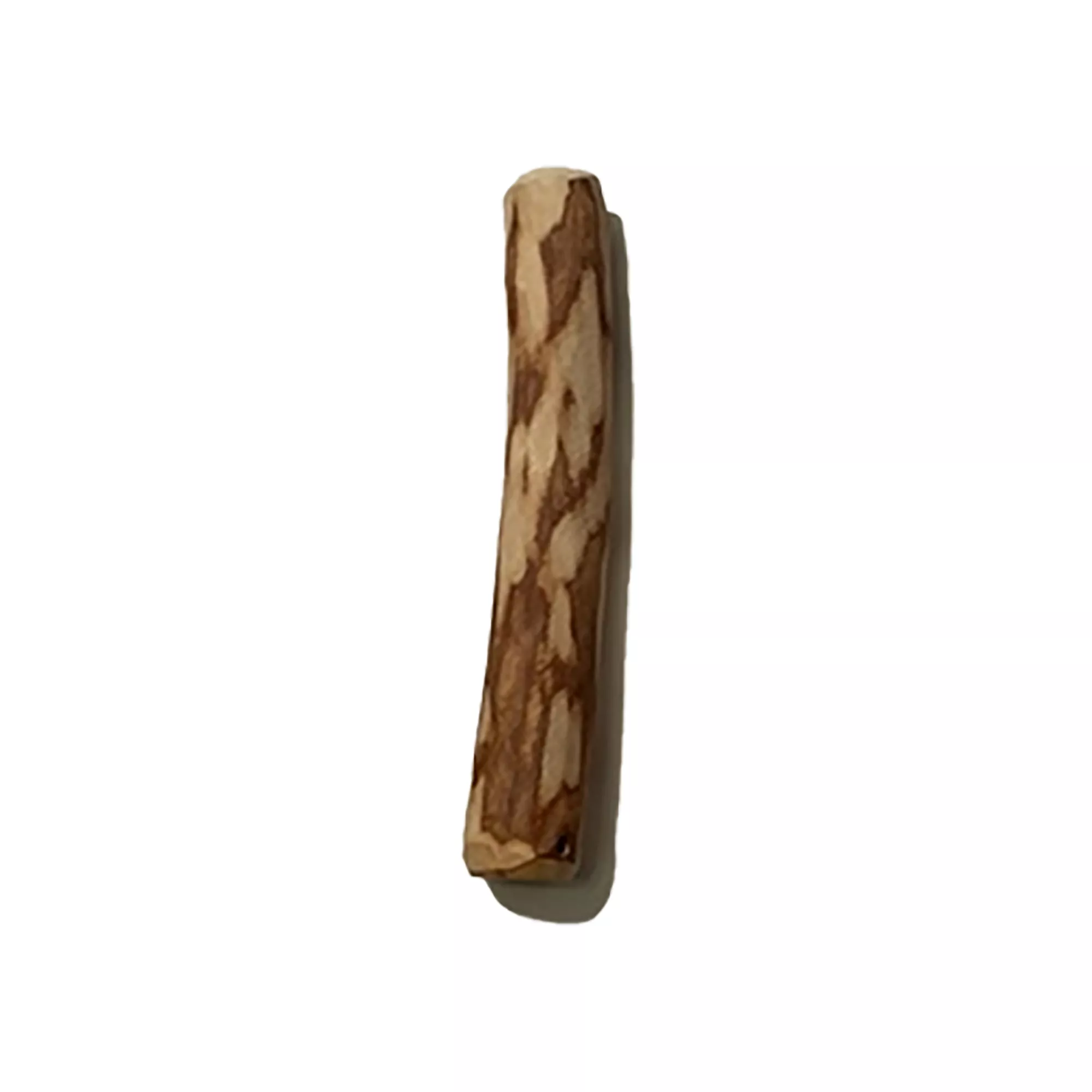 Zaytoon Olive Wood Chew, Medium