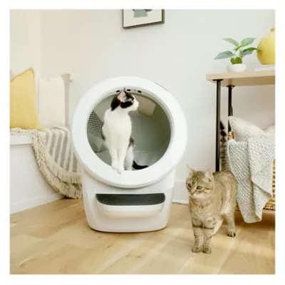 I robot cat litter box best sale