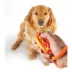 Brightkins Smarty Pooch Football Training Clicker image thumbnail 3